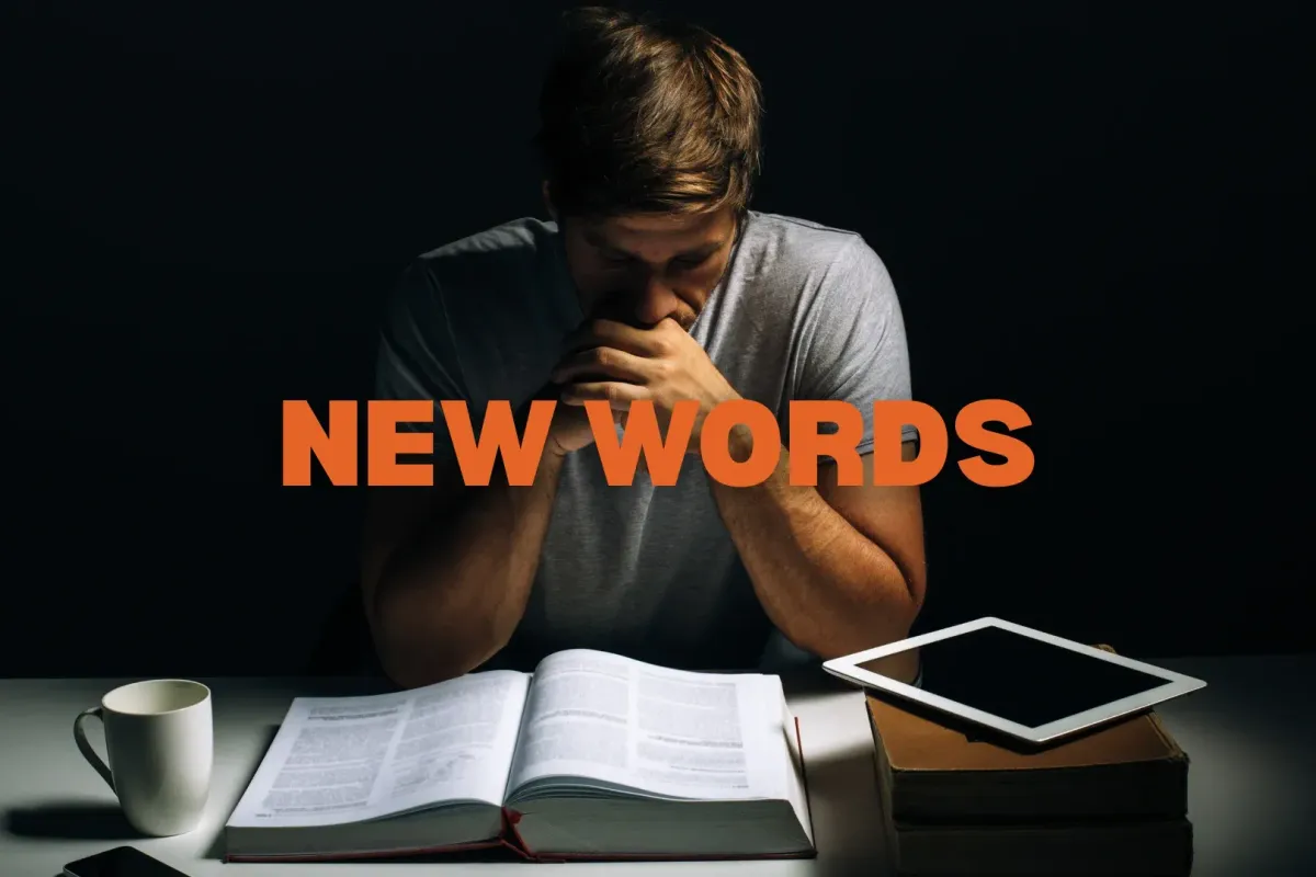 forgetting new words - wordflippin