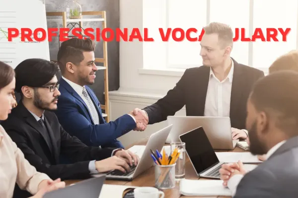 professional vocabulary - wordflippin